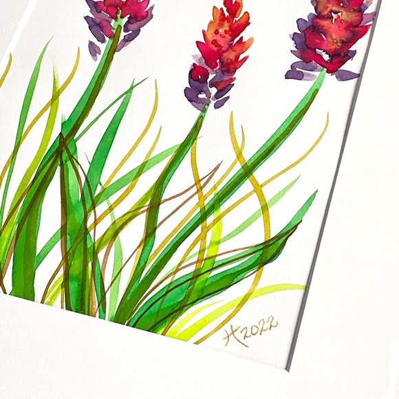 Summer Canna 2 - Original Wall Art Watercolor Painting Matted Frame Ready 11”x14 - Picture 3 of 5